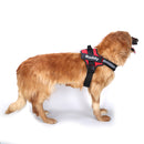 Custom Patch Reflective Harness for Dogs - Star Boutik LLC